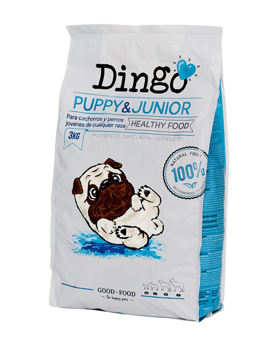 Dingo Puppy & Júnior