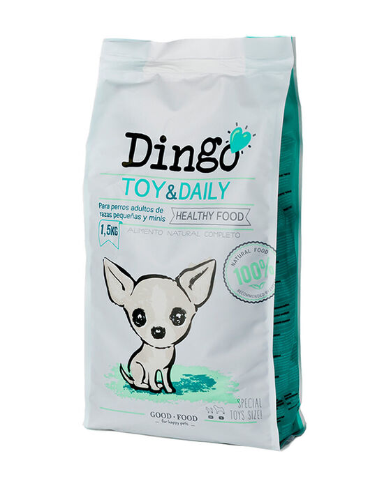 Dingo Toy & Daily