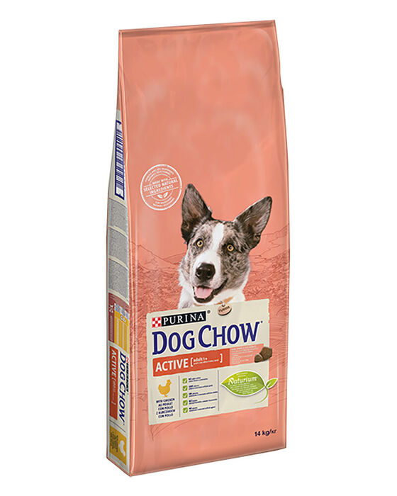 Dog Chow Active Cão Adulto - Frango