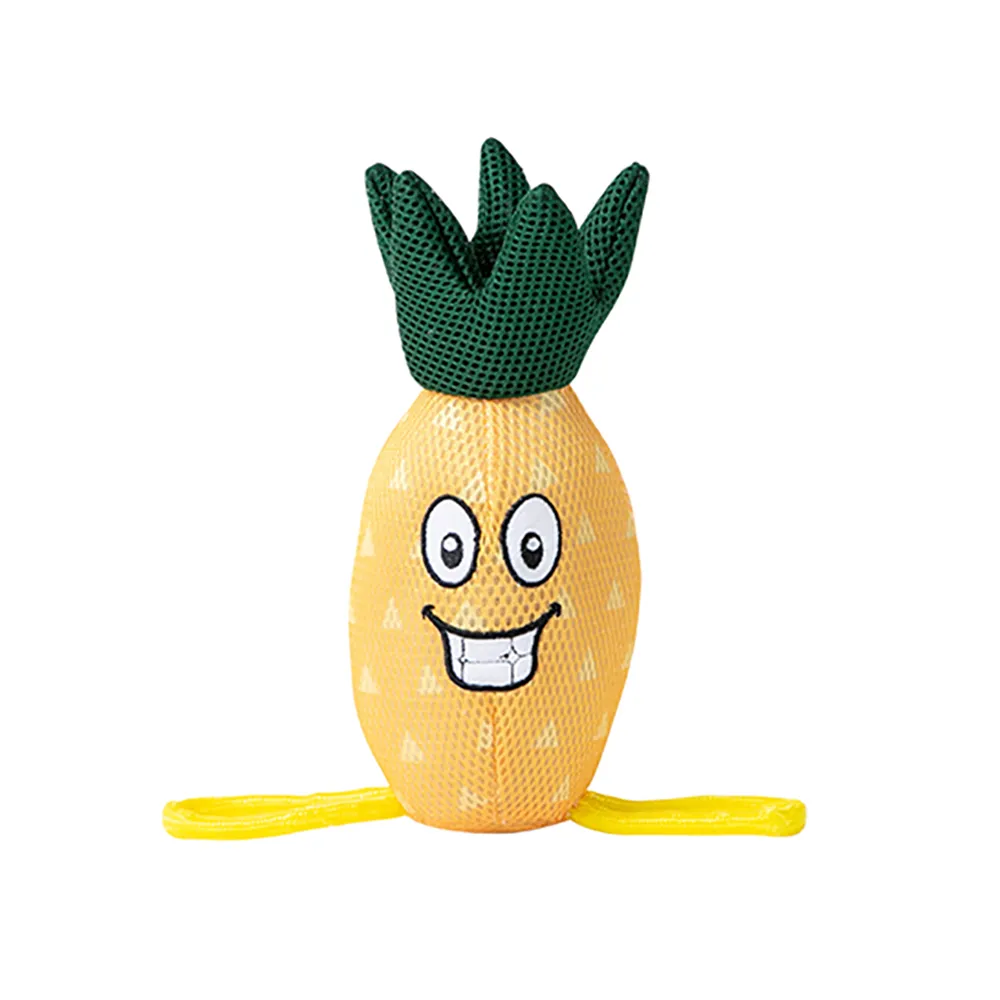 Floating Pineapple - Freedog