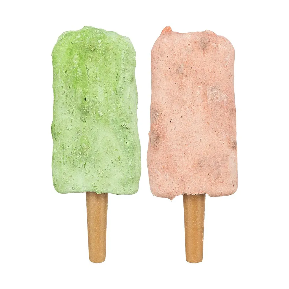 Ice Pop Sortidos para Cães - Trixie