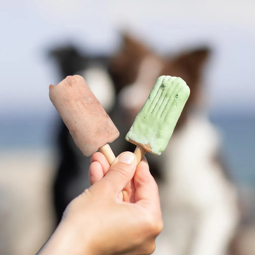 Ice Pop Sortidos para Cães - Trixie