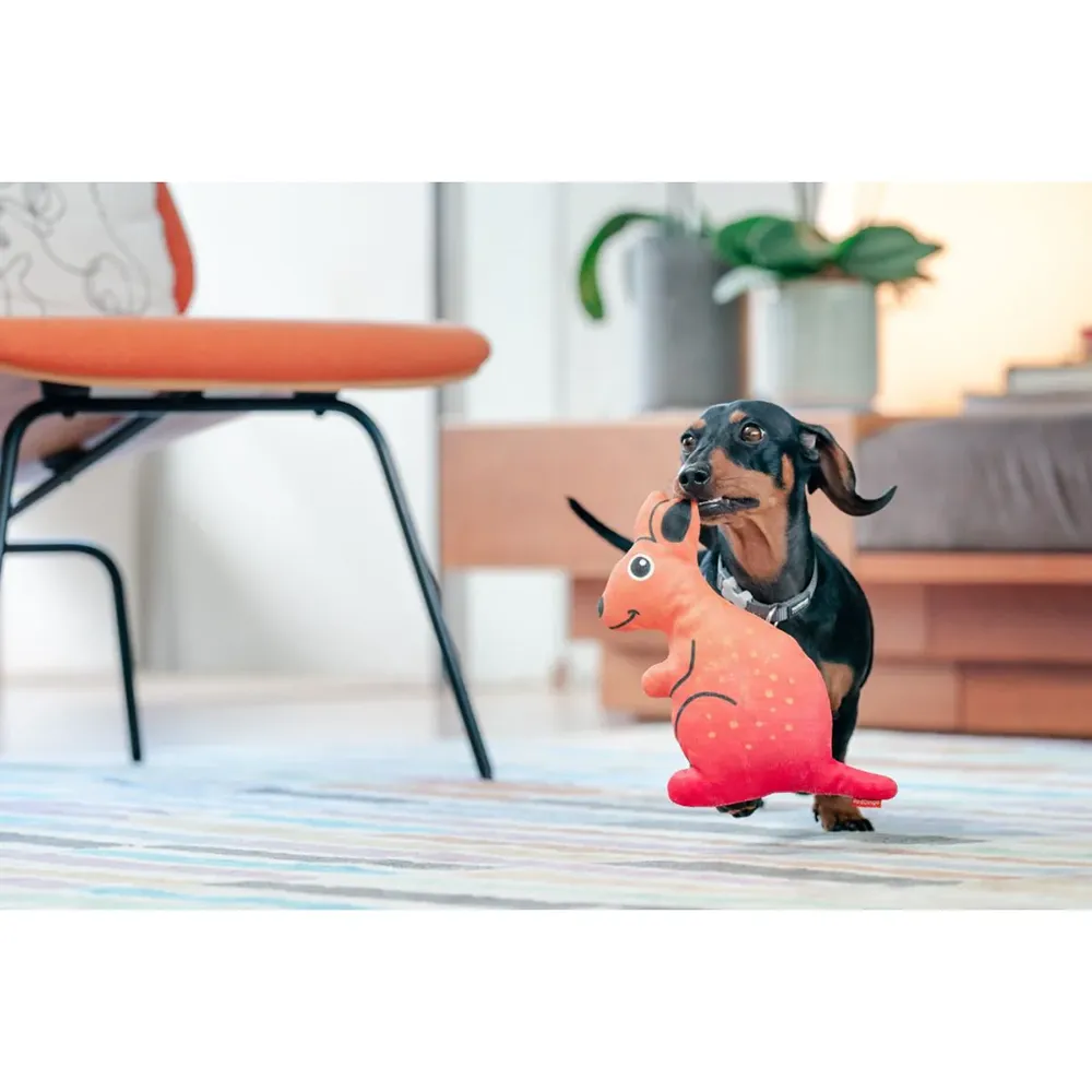 Kangaroo - Brinquedo para Cães - RedDingo Durables