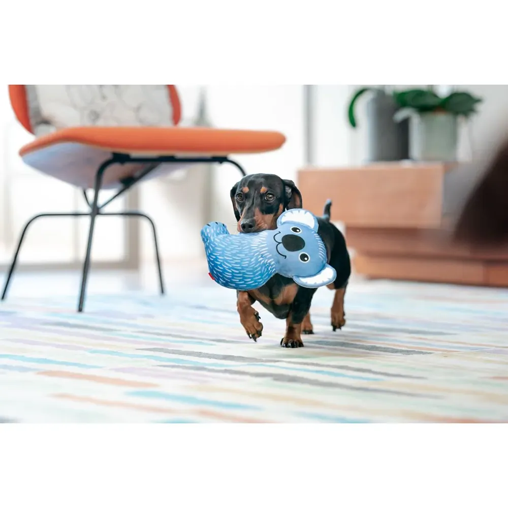 Koala - Brinquedo para Cães - RedDingo Durables