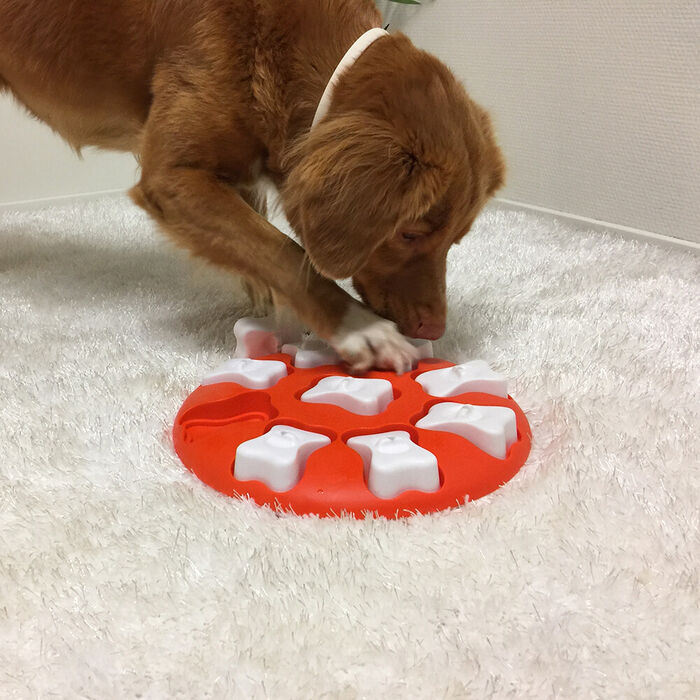 Nina Ottosson Dog Smart
