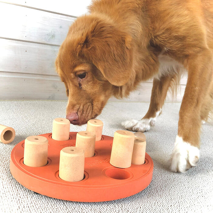Nina Ottosson Dog Smart Composite
