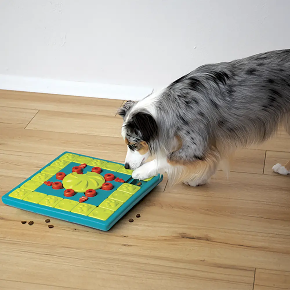 Nina Ottosson MultiPuzzle Dog Game