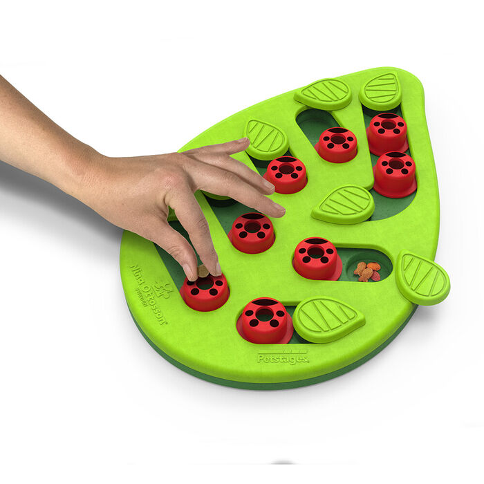 Nina Ottosson Puzzle & Play Buggin Out
