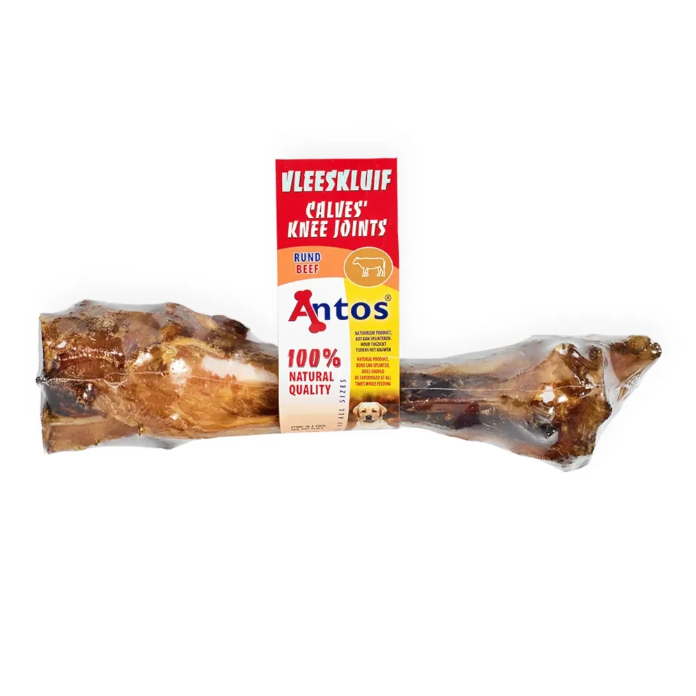 Osso da Tíbia de Vaca - Antos