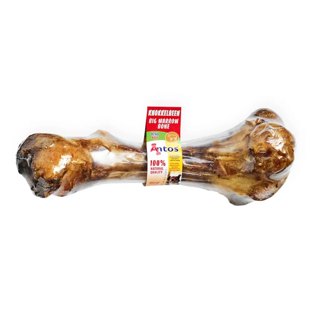 Osso do Fêmur de Vaca - Antos
