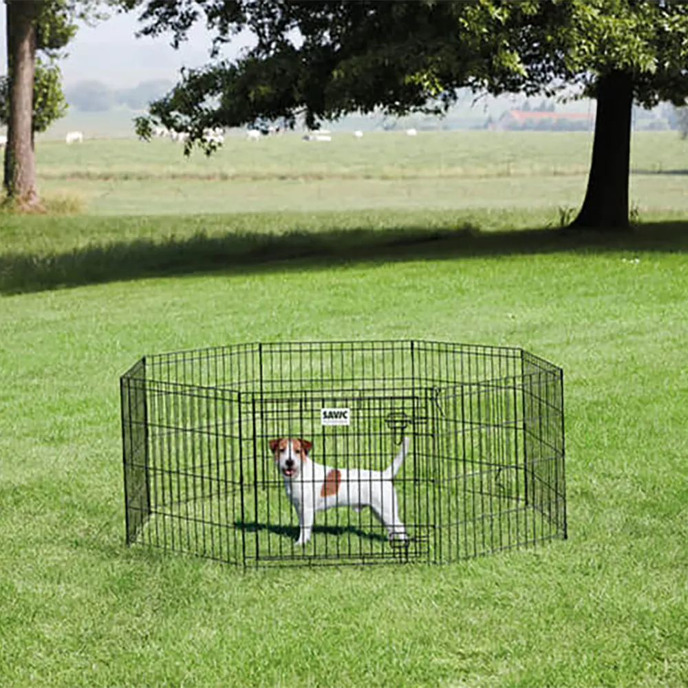 Parque para Cães - Savic