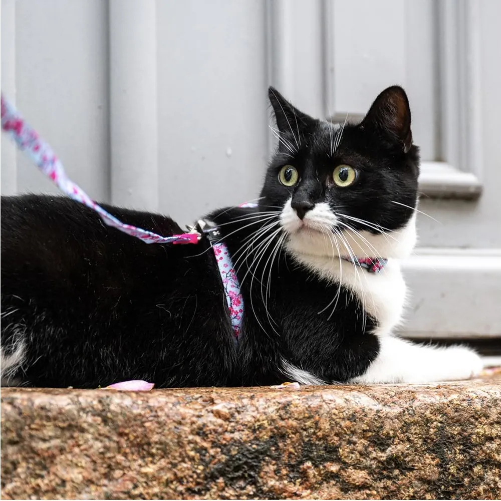 Peitoral + Trela Cherry Bloom para Gatos - Max & Molly