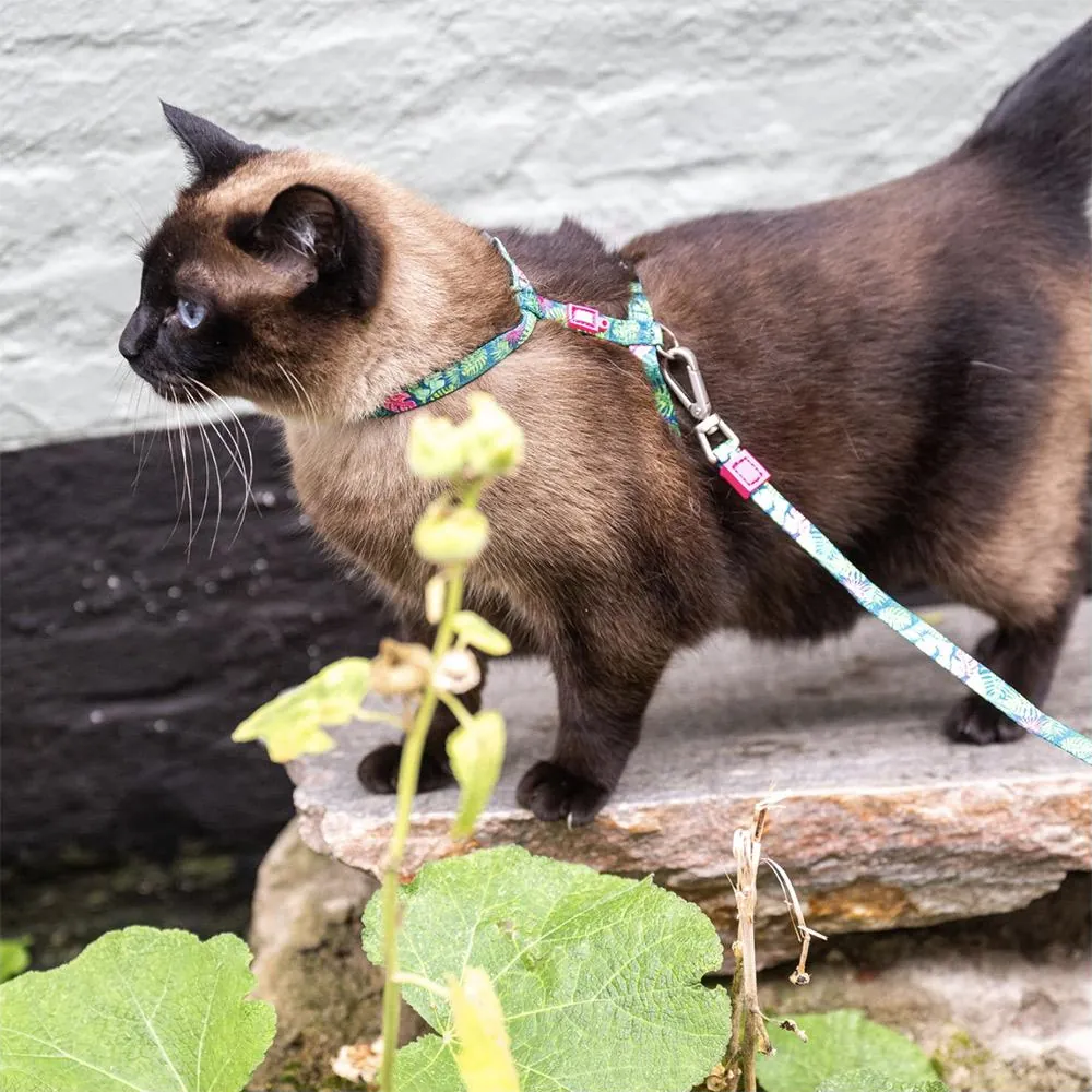 Peitoral + Trela Tropical para Gatos - Max & Molly