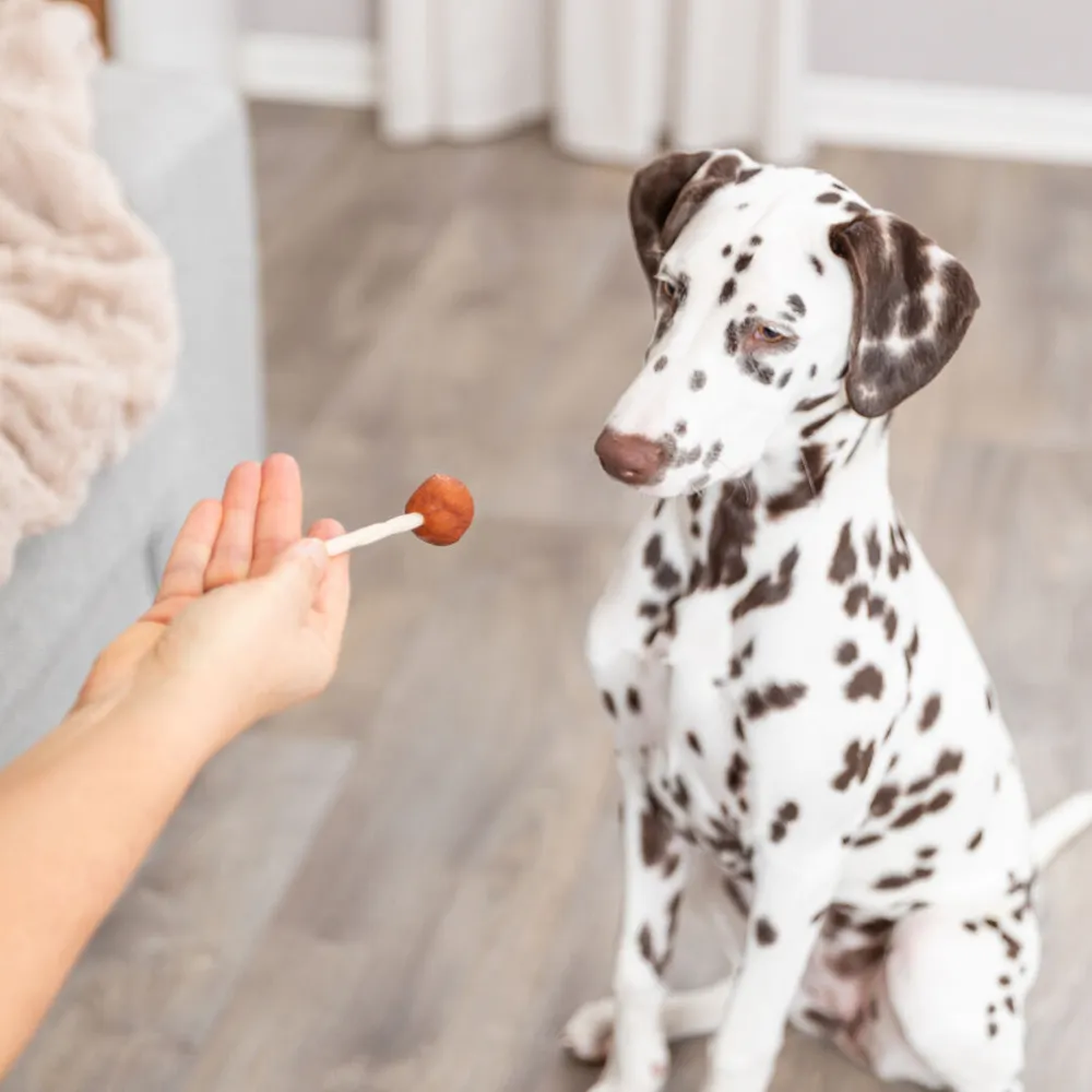 Premio - Lolly com Bacalhau para Cães - Trixie