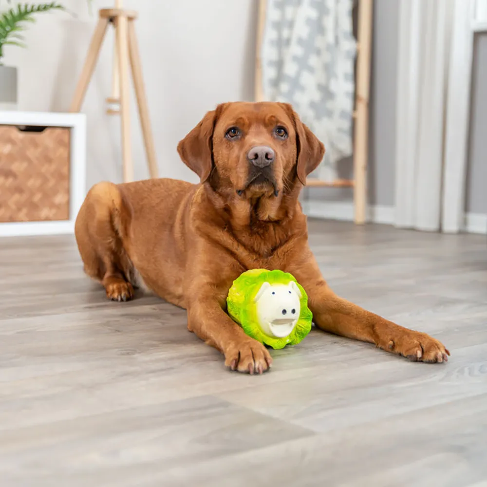 Repolho-Porco em Látex para Cães - Trixie