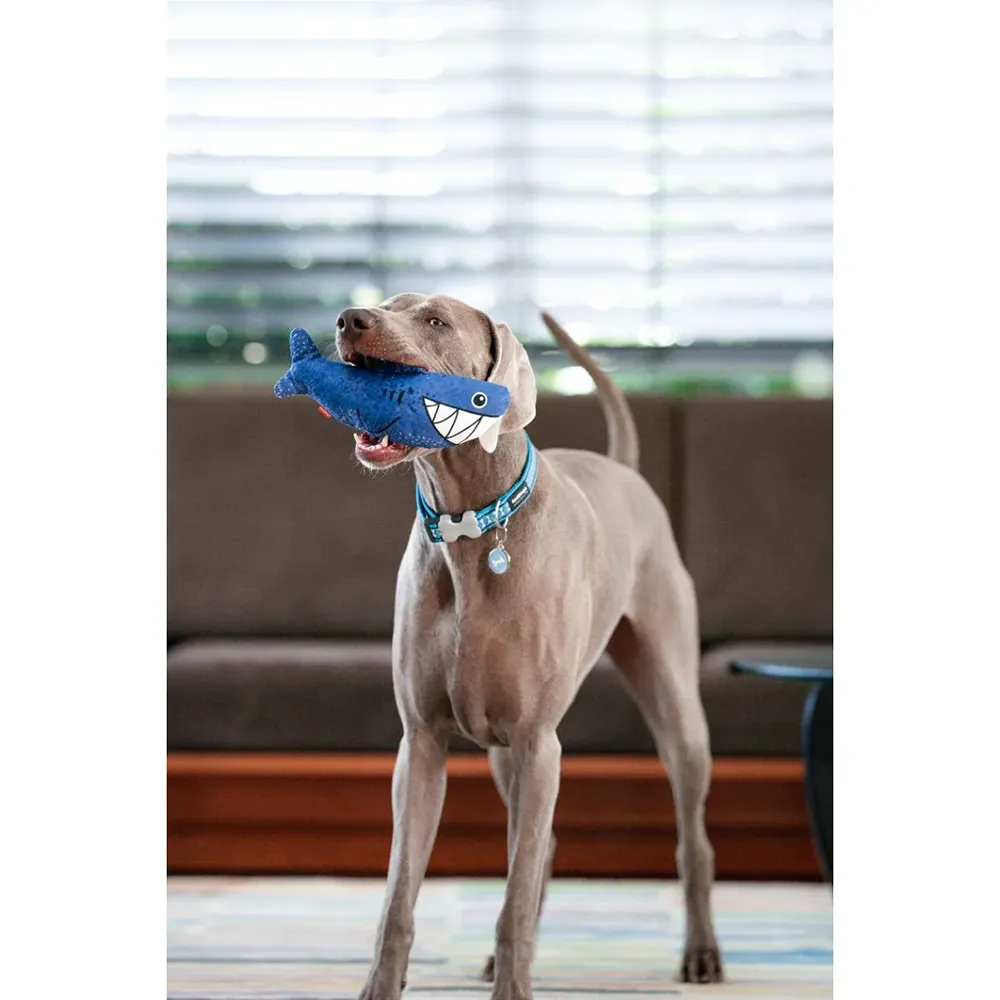 Shark - Brinquedo para Cães - RedDingo Durables