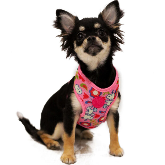 Peitoral Mesh Snoopy Pinkflower
