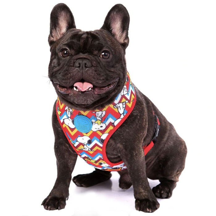 Peitoral Mesh Snoopy Zig-Zag