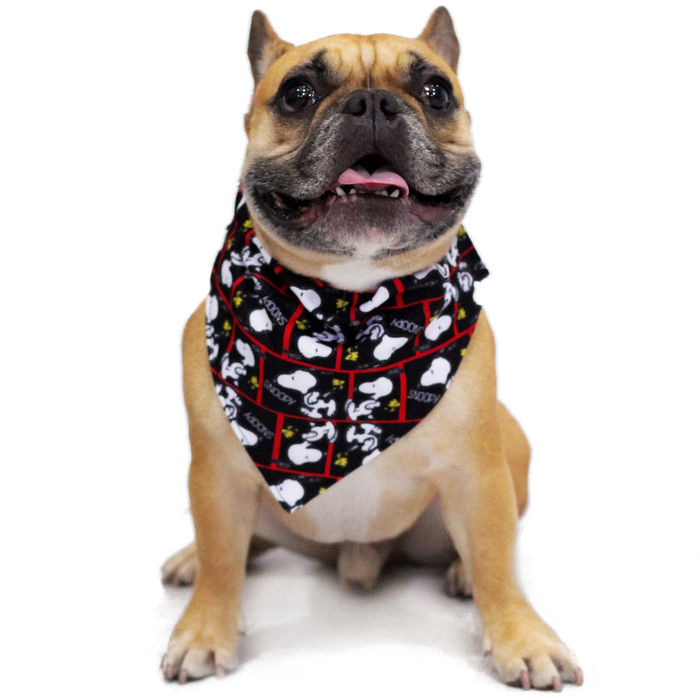 Bandana Snoopy Filmblack