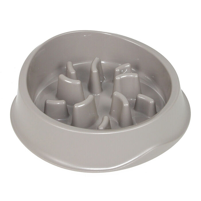 Gamela Chic Slow Feed para Cães