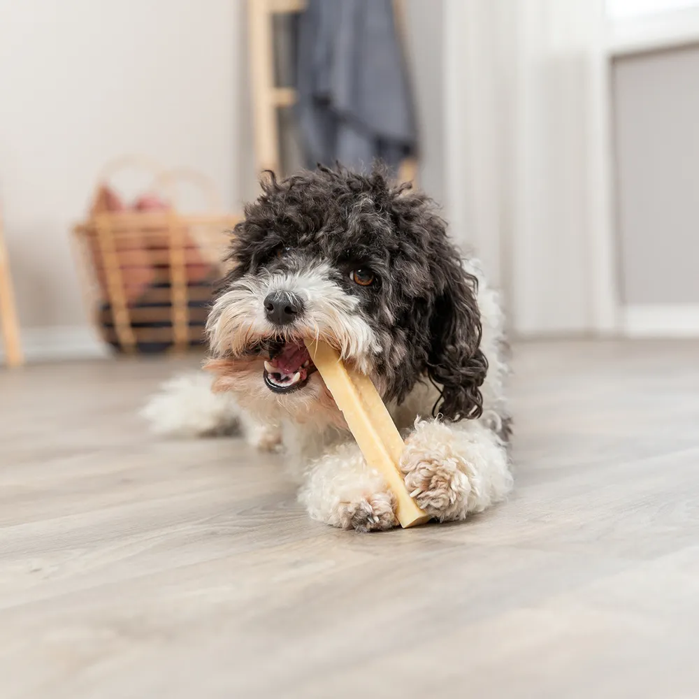 Stick de Queijo Natural para Cães - Trixie