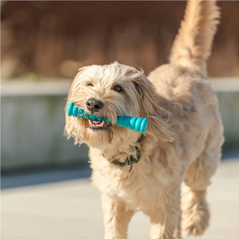 Stick Super Strong - Trixie