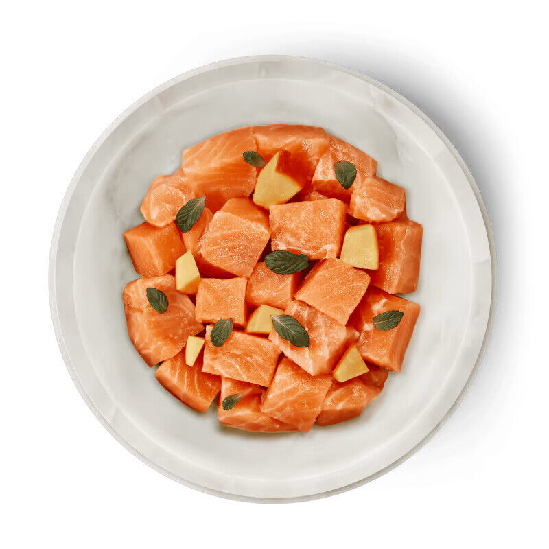 Terra Felis Mono Protein - Salmão