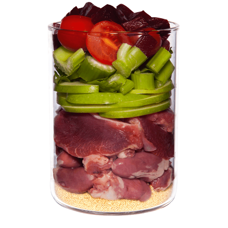 Terra Canis Classic - Frango com Tomate, Amaranto e Manjericão