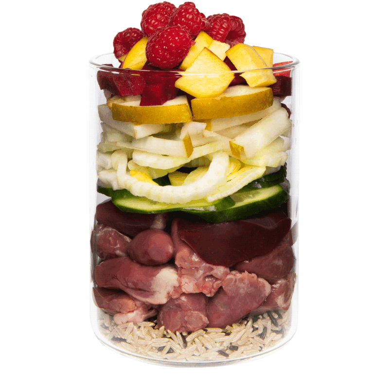 Terra Canis Classic - Pato com Arroz Integral, Beterraba, Pera e Sésamo