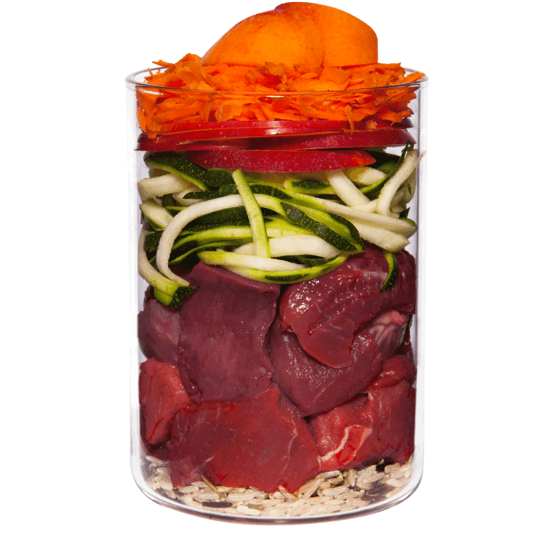 Terra Canis Classic - Vaca com Cenoura, Maçã e Arroz Integral 1