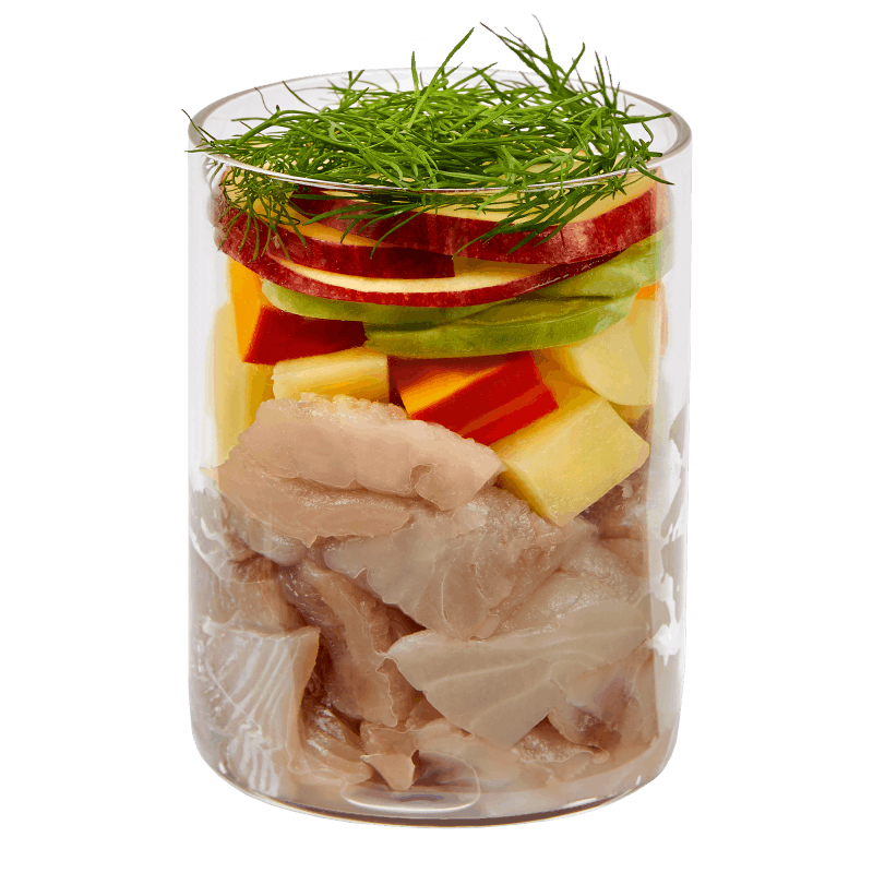 Terra Canis Grain Free - Arenque com Batata, Maçã e Endro
