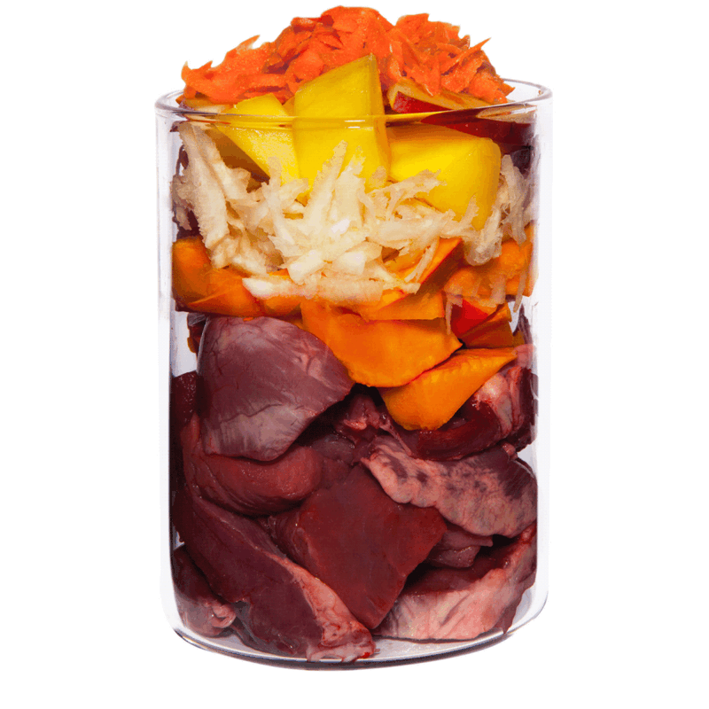 Terra Canis Grain Free - Cordeiro com Abóbora, Pastinaga e Passiflora