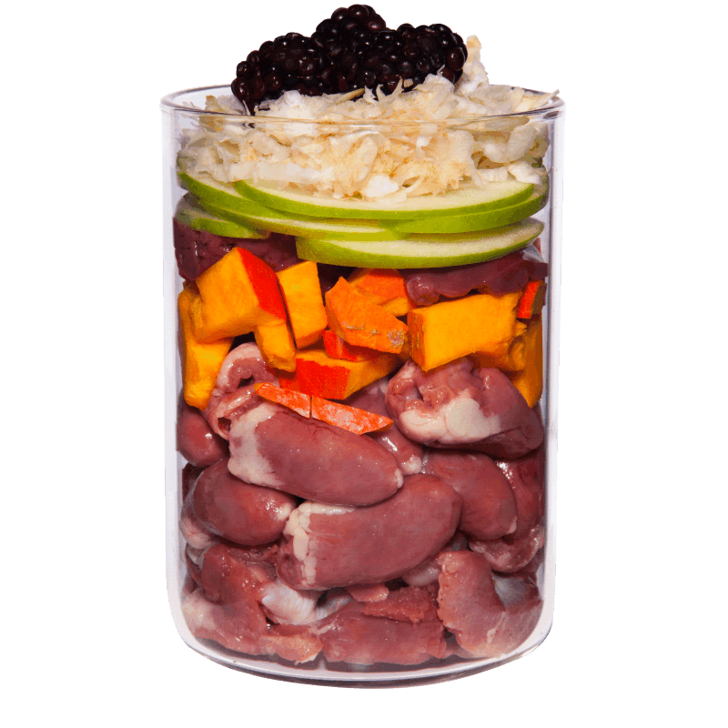 Terra Canis Grain Free - Frango com Pastinaga, Amora e Dente de Leão 1