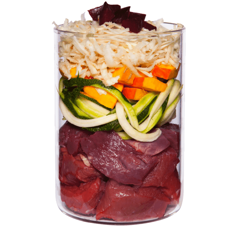 Terra Canis Grain Free - Vaca com Curgete, Abóbora e Orégano 1