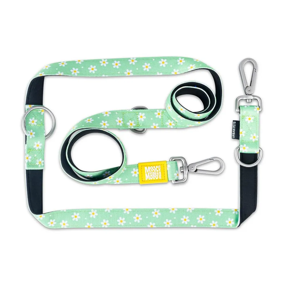 Trela Multi Margarite - Max & Molly