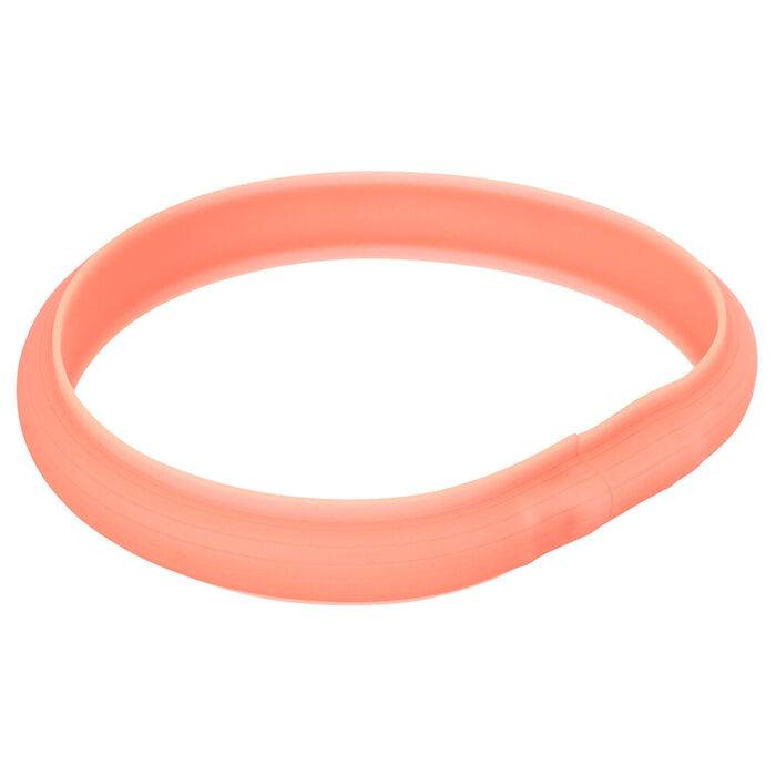 Flash Light Band Extra Larga USB - Trixie