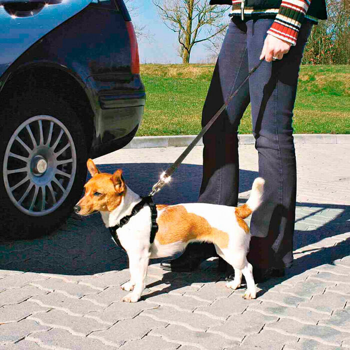 Peitoral de Segurança Auto - Trixie