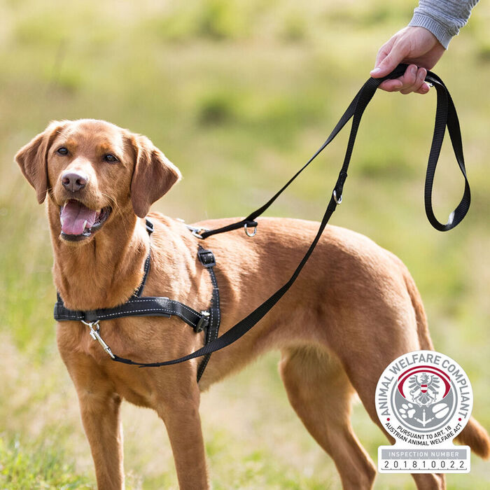 Peitoral de Trabalho Lead N Walk Soft - Trixie
