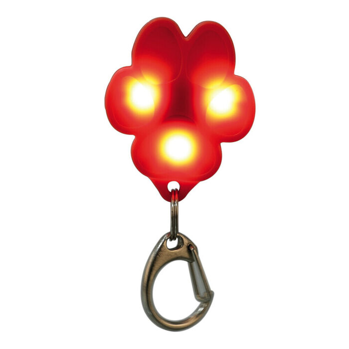 Flasher USB para Cães - Trixie