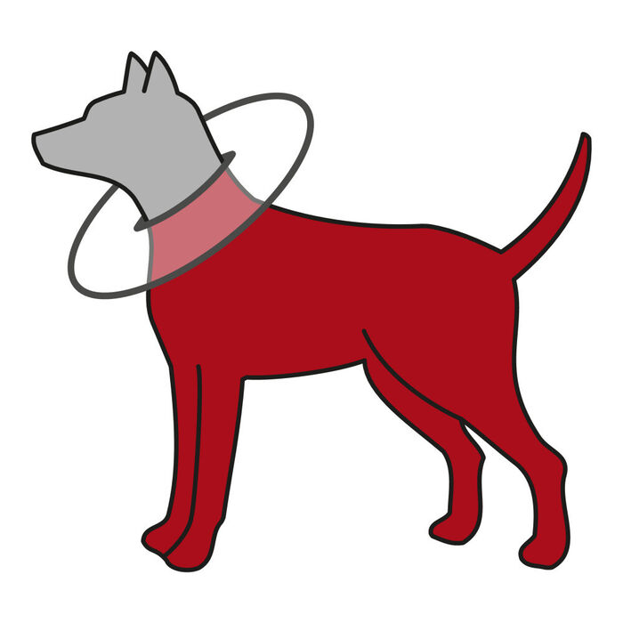 Colar Isabelino Flexível para Cães e Gatos - Trixie
