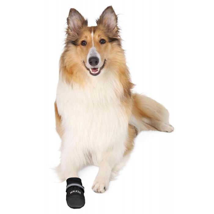 Walker - Botas Professional em Nylon para Cães - Trixie