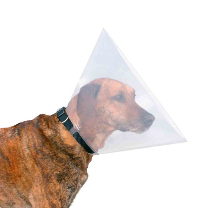 Colar Isabelino para Cães e Gatos - Trixie