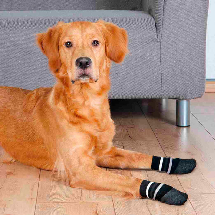 Meias para Cães - Trixie