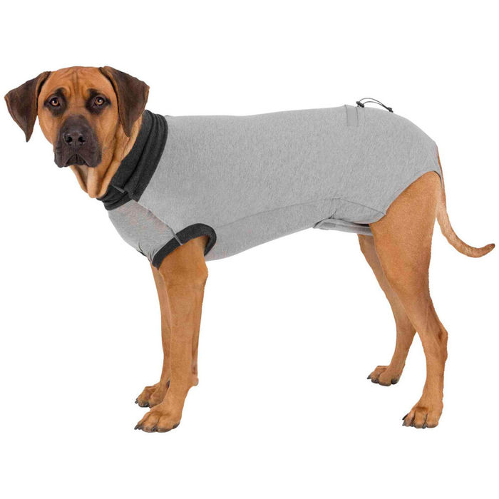 Body de Proteção para Cães - Trixie