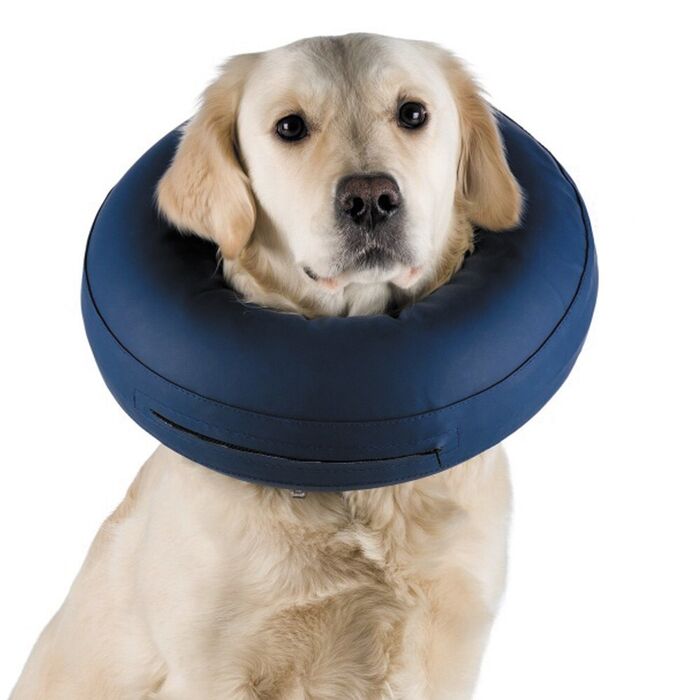 Colar Isabelino Insuflável para Cães - Trixie