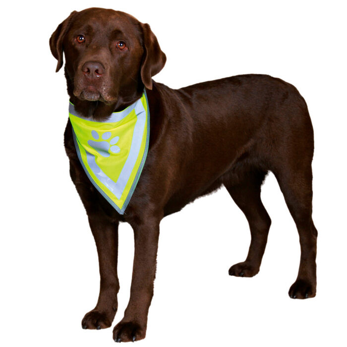 Lenço Refletor Safety Light - Trixie