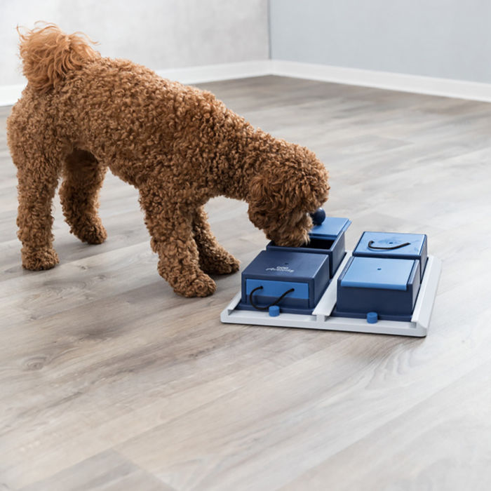 Jogo Poker Box para Cães - Trixie