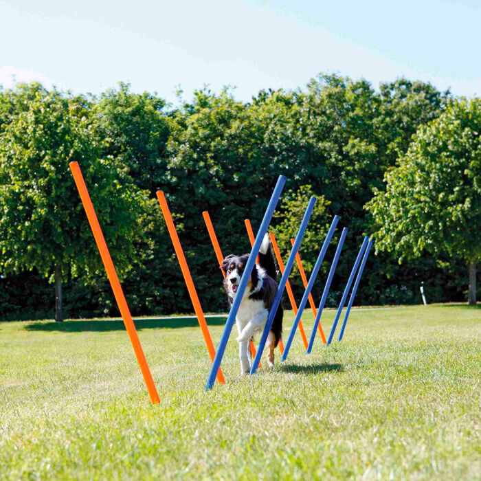 Postes Slalom para Agilidade - Trixie