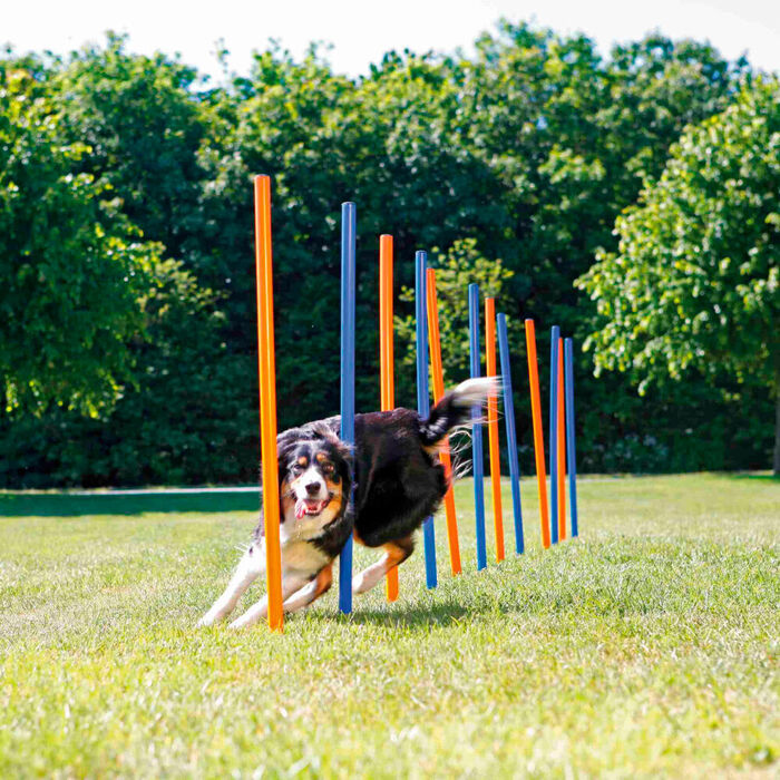 Postes Slalom para Agilidade - Trixie