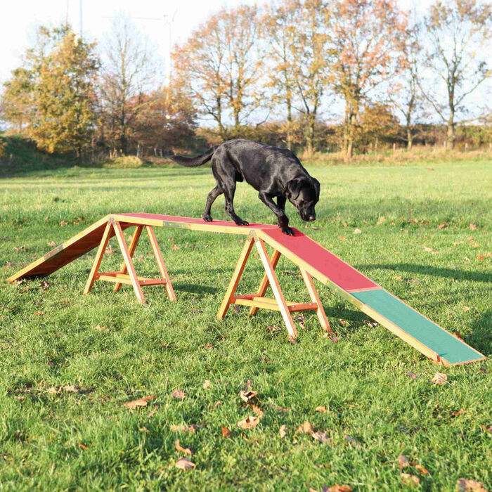 Agility Dogwalk - Trixie